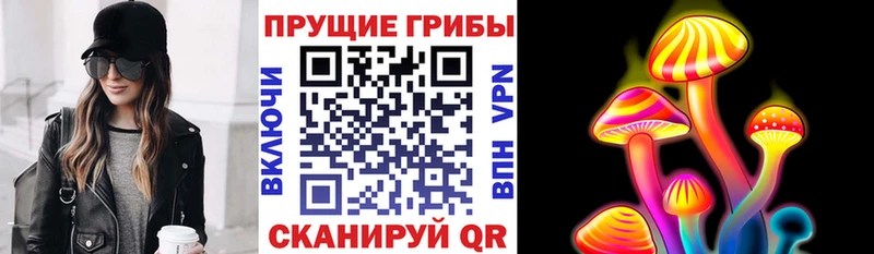 МЕГА зеркало  Вяземский  Псилоцибиновые грибы GOLDEN TEACHER 